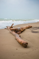 Plage du Parc naturel régional de la Maremma en Toscane