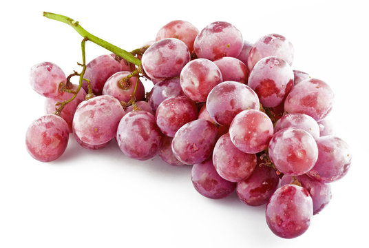 fresh pink grapes with drops close up