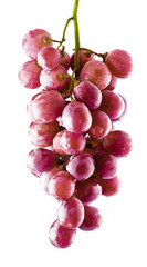 fresh pink grapes with drops close up