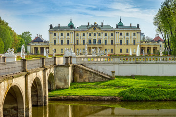Pałac Branickich, Białystok, Polska - obrazy, fototapety, plakaty