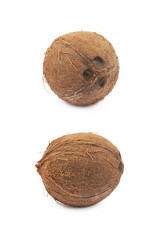 Single whole coconut isolated
