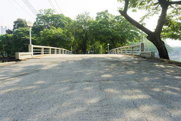 Bridge in Forest leading to more trees and morning sunrise in the park.