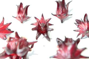 Roselle flowers