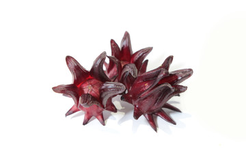 Obraz premium Roselle flowers