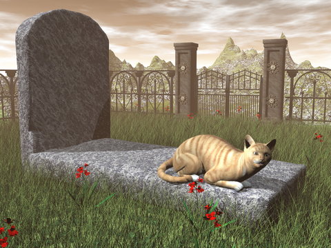 Cat on a tombstone - 3D render