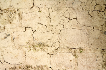 Cracked earth