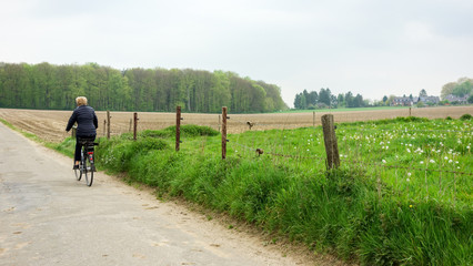 Fototapeta premium Rural area 