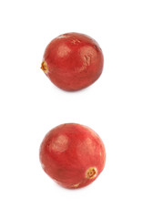 Single ripe cranberry isolated