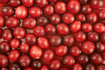 Surface coated with the cranberries