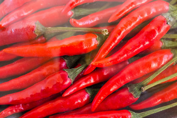 red hot chili peppers, popular spices concept - close-up on store packing of many red spicy peppers, isolated and packed under transparent plastic film, flat lay