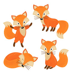 Fototapeta na wymiar set of isolated cute foxes part 2 - vector illustration, eps 