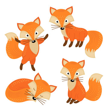 set of isolated cute foxes part 2  - vector illustration, eps
