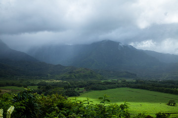 Obraz premium Hawaii