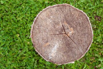 Round stump