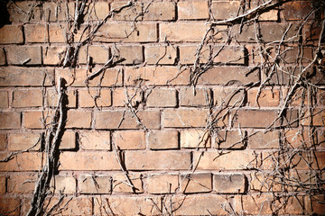 Rustikale Mauer Detail  / Das Detail einer rustikalen Mauer aus versetzten und abgebrochenen...