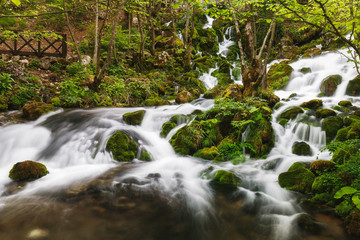 River spring with cascade in the forest surrounded by rocks and moss, travel destination, Grza, Paracin, Serbia