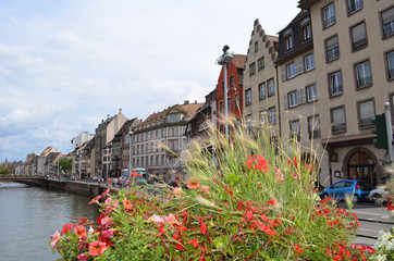 Strasbourg latem/Starsbourg in summer, Alsace, France - obrazy, fototapety, plakaty