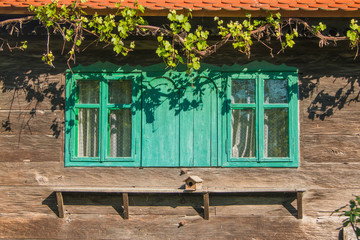 Fototapeta na wymiar Old traditional wooden house with bird home and wine plant in Lonjsko polje, Croatia 