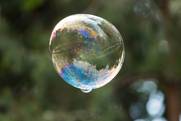 soap bubble