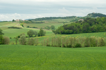 Fototapeta na wymiar beautiful landscape in Tuscany
