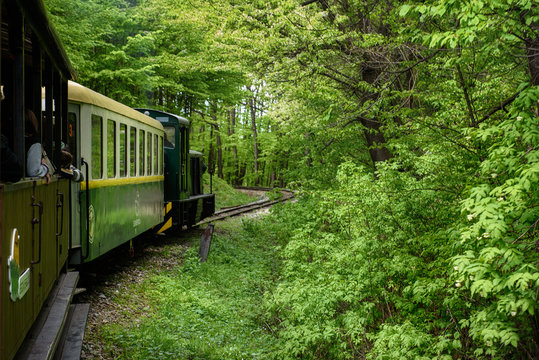 Sightseeing Train in Miskolc, Hungary going through green spring forest