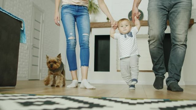 Parents are taught to walk a little boy at home. They hold his hands on both sides. Their dog runs alongside.