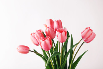 Bouquet of pink tulips on white background