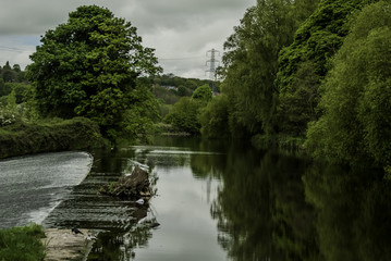 Fototapeta na wymiar Odbicie w rzece Aire, Kirkstall Abbey, Leeds, UK