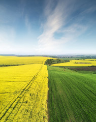 Obraz premium View on the field from air. Agricultural landscape in the summer time