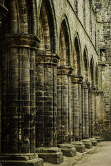 Kirkstall Abbey, Leeds, UK - obrazy, fototapety, plakaty