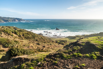 Landscape of a coast of Chiloe island, Chile