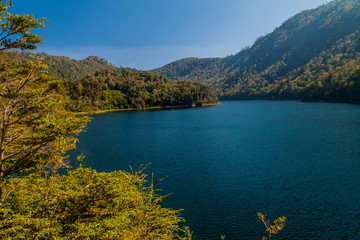 Lago Verde lake in National Park Huerquehue, Chile