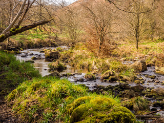 Springtime walk through woodand and waterfalls near Hebden Bridge, Yorkshire, UK