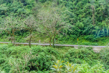 Mountains covered with a lush forest along the road from San Miguel de Tucuman to Tafi del Valle, Argentina