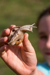Young girl showing a snail in her palm
