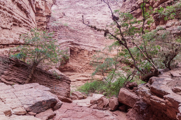 Rock formation called Garganta del Diablo (Devil's Throat) in Quebrada de Cafayate valley, Argentina