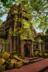 Ta Prohm temple. Ancient Khmer architecture at Angkor Wat complex, Siem Reap, Cambodia.