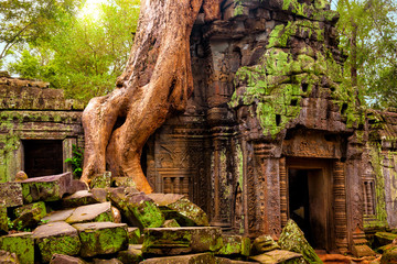 Ta Prohm temple. Ancient Khmer architecture under the giant roots of a tree at Angkor Wat complex, Siem Reap, Cambodia. - obrazy, fototapety, plakaty