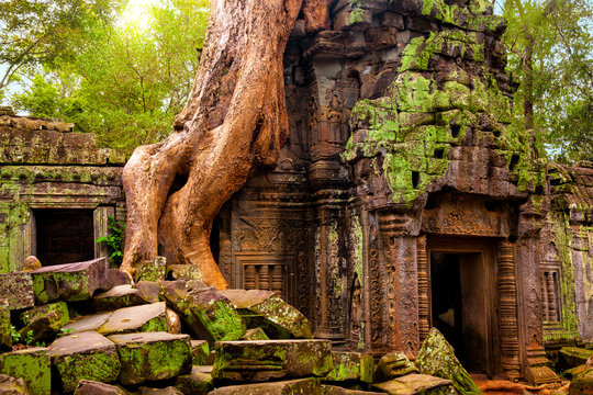 Ta Prohm temple. Ancient Khmer architecture under the giant roots of a tree at Angkor Wat complex, Siem Reap, Cambodia.