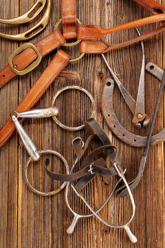 Set of horse equipment on wooden background