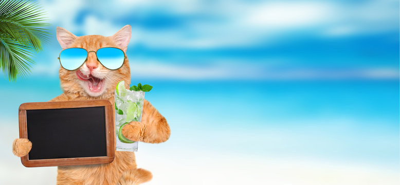 Cat wearing sunglasses relaxing in the sea background.  Cat holds blank blackboard .