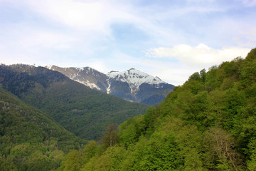 Fototapeta na wymiar Mountain landscape. Green mountains with trees and snowy rocky peak.