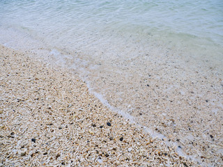 Fototapeta na wymiar 珊瑚の海岸
