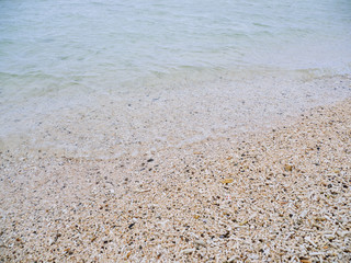 珊瑚の海岸