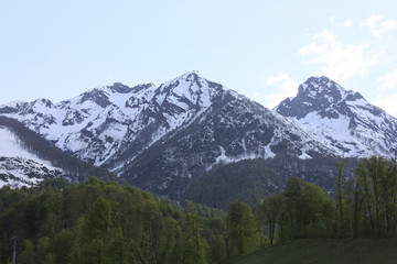 Obraz premium Mountain landscape. Snowy mountain peaks and green trees at bottom.