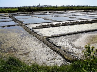 Fototapeta premium Marais salants