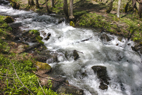 Mountain stream with white foam among trees, stones and grass in spring forest.