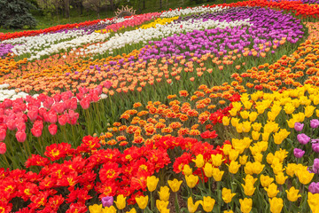 KIEV, UKRAINE-Flower Show Landscape Park in Kiev