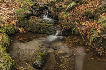 Creek in spring color forest in north Bohemia