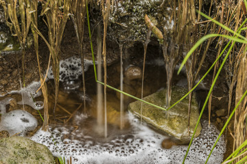 Creek in spring color forest in north Bohemia